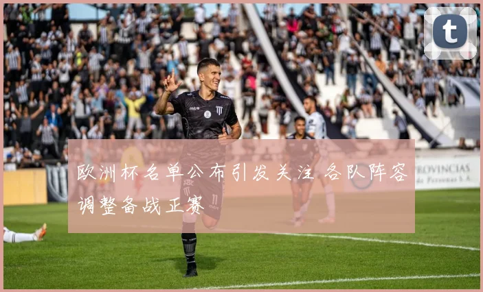 欧洲杯名单公布引发关注 各队阵容调整备战正赛