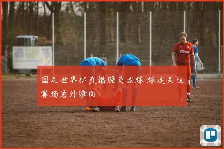 国足世界杯直播现乌龙球 球迷关注赛场意外瞬间