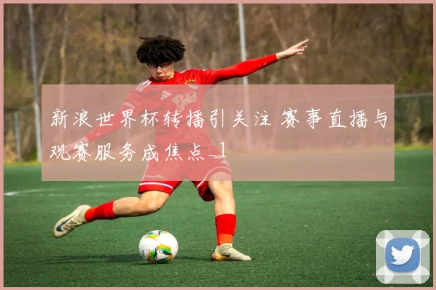 新浪世界杯转播引关注 赛事直播与观赛服务成焦点_1